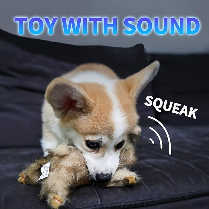 ALL FOR PAWS Classic Rabbit Squeaky Doy Toy, Bunny Dog Toy for Small Medium Breed, Puppy Fetch Toy with Squeaker, Plush Chew Dog Toy, 8 x 2.8 x 4.7 inches, Brown Rabbit -Small Size