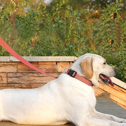 Reflective Dog Leash 6 FT Padded Handle Nylon Dogs Leashes for Large Dogs Coral
