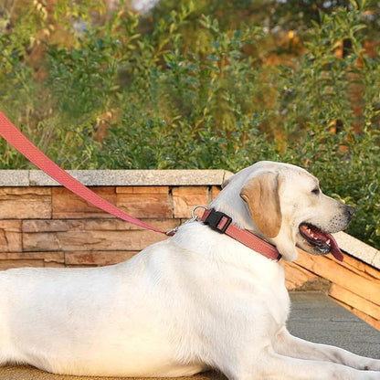 Reflective Dog Leash 6 FT Padded Handle Nylon Dogs Leashes for Medium Dogs Coral