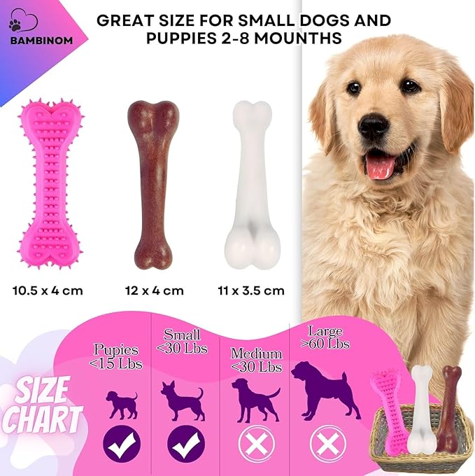 Durable Dog Bone Chew Toy for Small Breeds, Squeaky, Puppy Chew Bone, Supports Dental Health & Teething Relief, 4.5”, Pack of 3 for Small to Medium Dogs