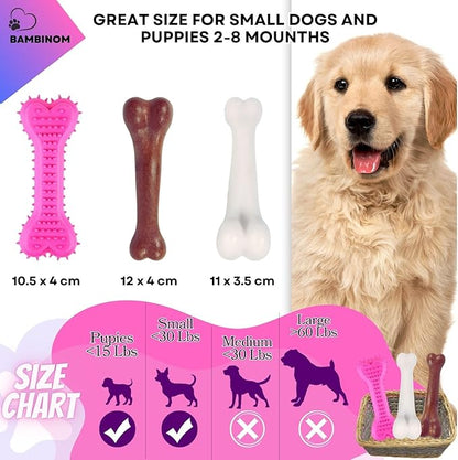 Durable Dog Bone Chew Toy for Small Breeds, Squeaky, Puppy Chew Bone, Supports Dental Health & Teething Relief, 4.5”, Pack of 3 for Small to Medium Dogs