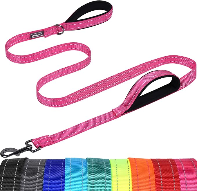 VIVAGLORY Dog Leash Twingrip Double Handle Dog Leash with Traffic Handle Control & 2 Loop for Walking & Training, Reflective Heavy Duty for Puppy Pet Collar, 5ft x 1in, Pink