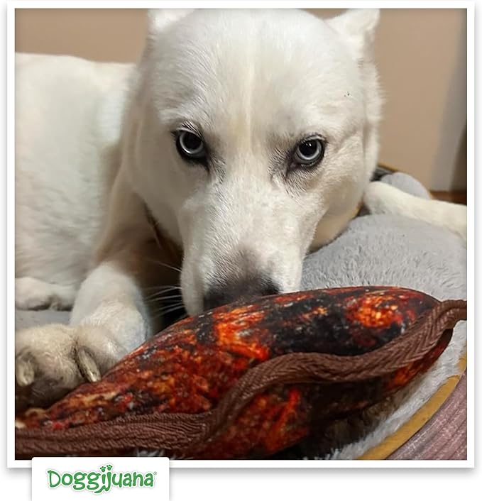 Doggijuana | Tuffer Chewer - Interactive Dog Toy with Juananip Refill | Refillable Durable Dog Toy for Engaging Play and Natural Calming (Tomahawk Steak Toy)