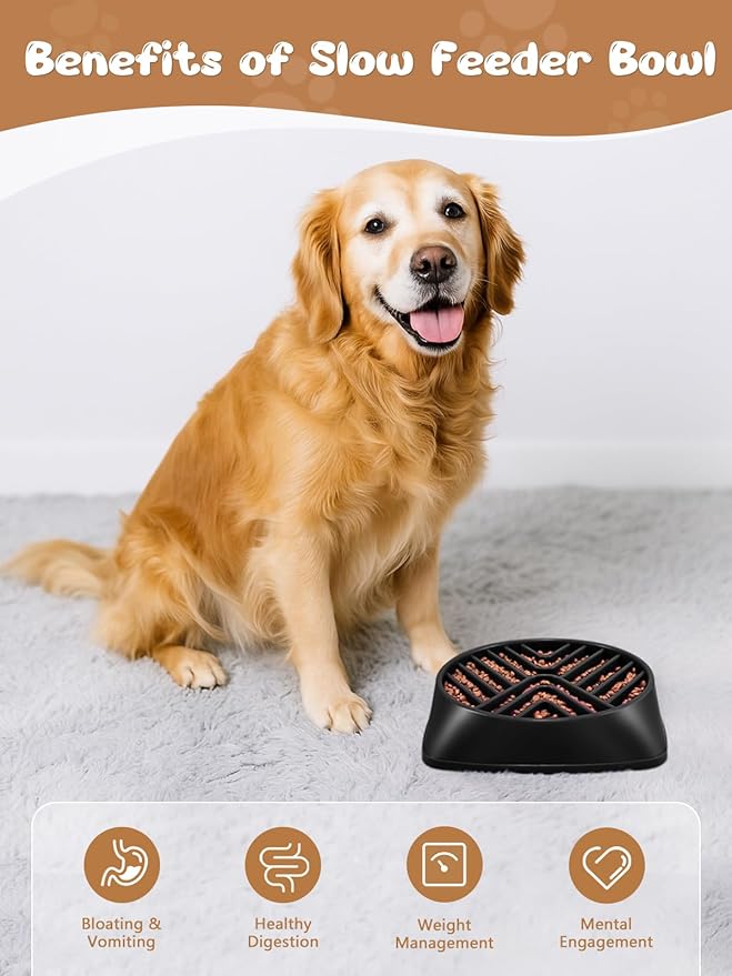 KASBAH Slow Feeder Dog Bowls Large Breed, 5 Cups Capacity for Wet & Dry Food, Puzzle Maze Bowl for Fast Eaters, Non-Slip Base, BPA Free, Helps Prevent Bloat and Aid Digestion