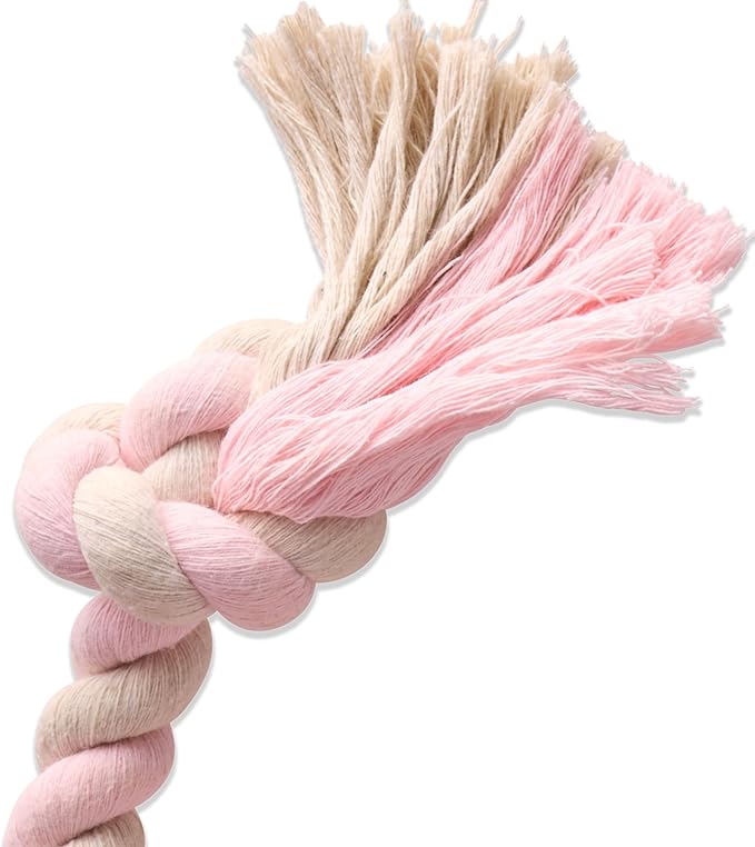 Natural Rubber Tire and Organic Cotton Rope Pull and Chew Dog Toy for All Pet Breeds, Blush, Small
