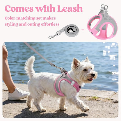 rabbitgoo Dog Harness Small Sized and Leash Set, Step in Soft Light Puppy Vest, Breathable Mesh Pet Harness, Reflective for Safe Easy Walking, Pink & Gray XXS