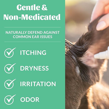 SKOUT'S HONOR Probiotic Dog Ear Cleaner Solution with Aloe Vera - Alcohol-Free, Fragrance-Free, Non-Medicated Ear Wash for Dogs - Microbione Friendly Certified, 4 oz., 2-Pack
