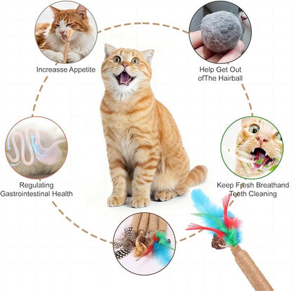 Cat Toys Cat Chew Toys, Silvervine Sticks Catnip Rope Toys for Cats Teeth Cleaning, Kitten Dental Care, Kitty Toys for Indoor Cats Increase Appetite,Enhances Oral & Dental Health (4 Pack)