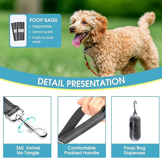 BAAPET 5 Feet Nylon Dog Leash with Triple Reflective Threads and Comfortable Padded Handle for Walking, Training Lead Small Puppy, Medium and Large Dogs (1.0'' x 5 FT, Black)