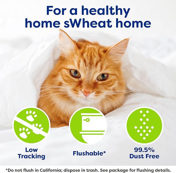 sWheat Scoop Natural Wheat Multi-Cat Litter, Superior Clumping with Odor Neutralizing Enzymes, 28 Pound Bag