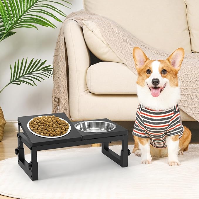 Dog Bowls Elevated Small, 3 Height(4.2" to 6") & Angle (0-20°) Adjustable Raised Dog Bowl Stand, Elevated Dogs Bowl Stand Pet, Sturdy Metal Dogs Feeding Station with 2X 20oz (2.5cup) Dishes