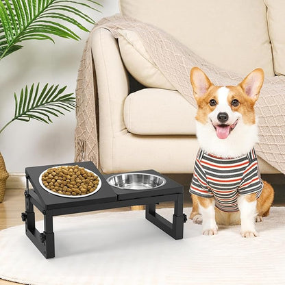 Dog Bowls Elevated Small, 3 Height(4.2" to 6") & Angle (0-20°) Adjustable Raised Dog Bowl Stand, Elevated Dogs Bowl Stand Pet, Sturdy Metal Dogs Feeding Station with 2X 20oz (2.5cup) Dishes