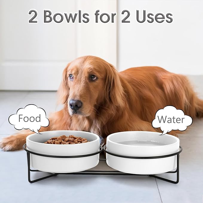 Ceramic Dog and Cat Bowl Set with Stand, 3.6 Cups Dog Food and Water Bowl Suitable for Small and Medium Pets (28.7oz White)