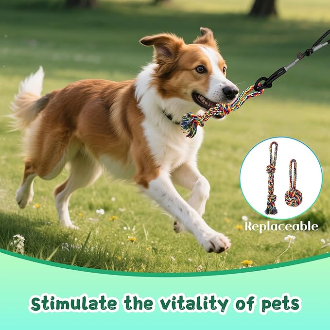 Retractable Flirt Pole for Dogs with Tug Toy Ropes, Lightweight Interactive Pet Training Pole for Small to Medium Dogs (Black)