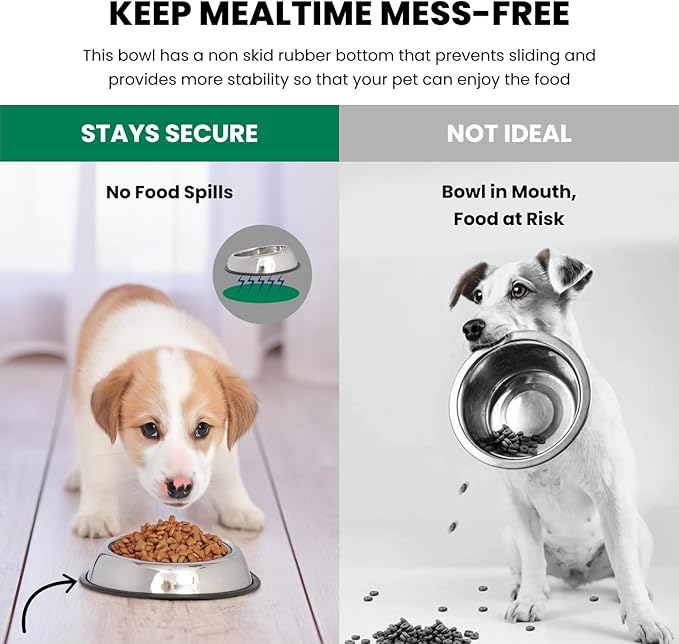 Iconic Pet 1 Cup/8 Oz Heavy Weight Non-Skid Stainless Steel High Back Pet Food/Water Bowls with Removable Anti Skid Rubber Ring - Dog/Cat Feeding Bowl in Unique Design, Dishwasher Safe