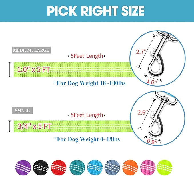 BAAPET 5 Feet Nylon Dog Leash with Triple Reflective Threads and Comfortable Padded Handle for Walking, Training Lead Small Puppy, Medium and Large Dogs (1.0'' x 5 FT, Green)
