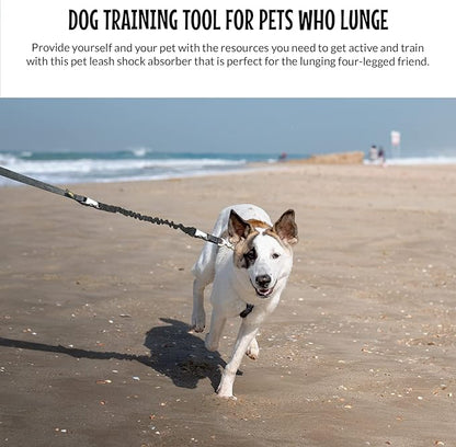 The Buddy System Accessories for Our Dog Leashes Made in USA (Shock Absorber, Regular Dog Black)
