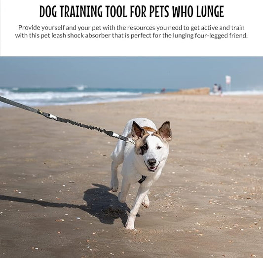 The Buddy System Accessories for Our Dog Leashes Made in USA (Shock Absorber, Regular Dog Black)