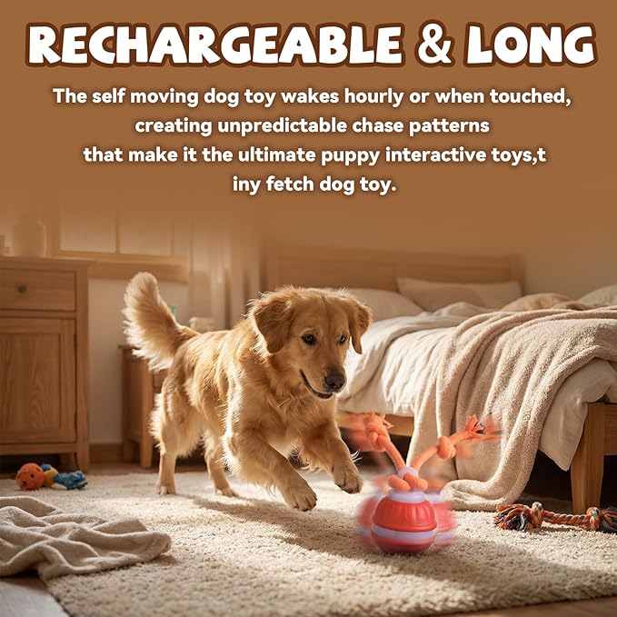 Interactive Dog Toys,Dog Ball,Automatic Rolling Moving for Interactive Dog Toys,Upgraded 360° Smart Automatic Rolling,Toy Wicked Ball for Boredom & Training for Puppy Small Dogs (Orange)