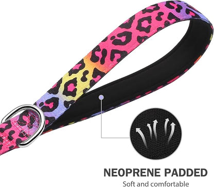 Hikiko Padded Two Handle Dog Leash 6 Ft for Medium Large Dogs, Strong Traffic Handles Lead for Walking Training (Gradient Leopard)