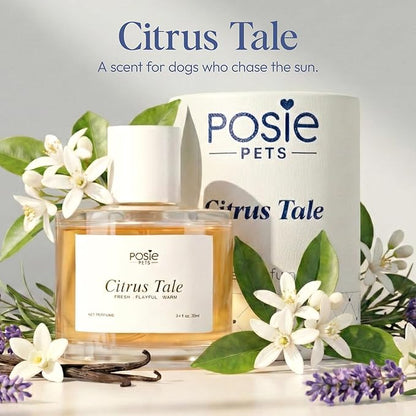 Perfume Gift Pack - Contains One Citrus Tale Fragrance, One Sweet Snooze Fragrance and Massage Brush