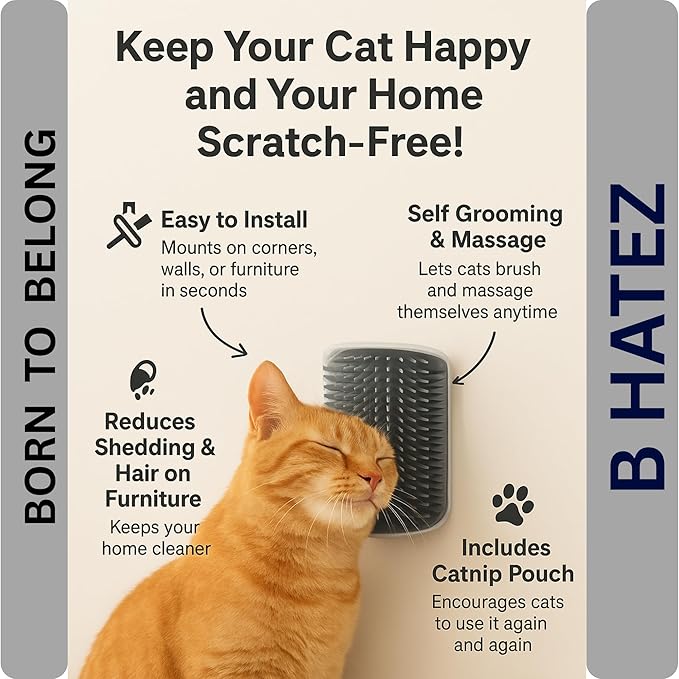 Extended 6.1 Inch Cat Self Groomer 2 Pack Corner Wall Brushes with Catnip, Adhesive & Screws, Cat Face Massager Comb for Indoor Cats, Wall Mounted Grooming Station, Durable & Easy to Clean