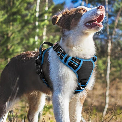 rabbitgoo Dog Harness Medium Sized, No Pull Dog Vest with 3 Buckles, Adjustable Soft Padded Pet Harness with Easy Control Handle and Reflective Strips, Black & Sky Blue, M