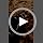 tobeDRI No Pull Dog Harness Adjustable Reflective Oxford Easy Control Medium Large Dog Harness with A Free Heavy Duty 5ft Dog Leash, Orange, M - Image 6