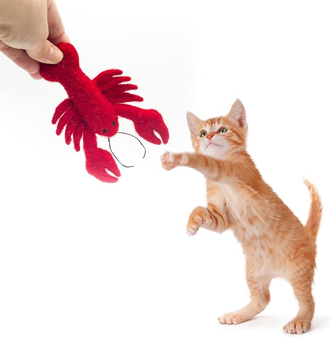 Glaciart One Wool Lobster Cat Toy with Catnip | Interaction & Boredom Relief, Encourages to Exercise, Explore & Play | Filled w/Organic Herbs to Help Sooth or Reduce Anxiety