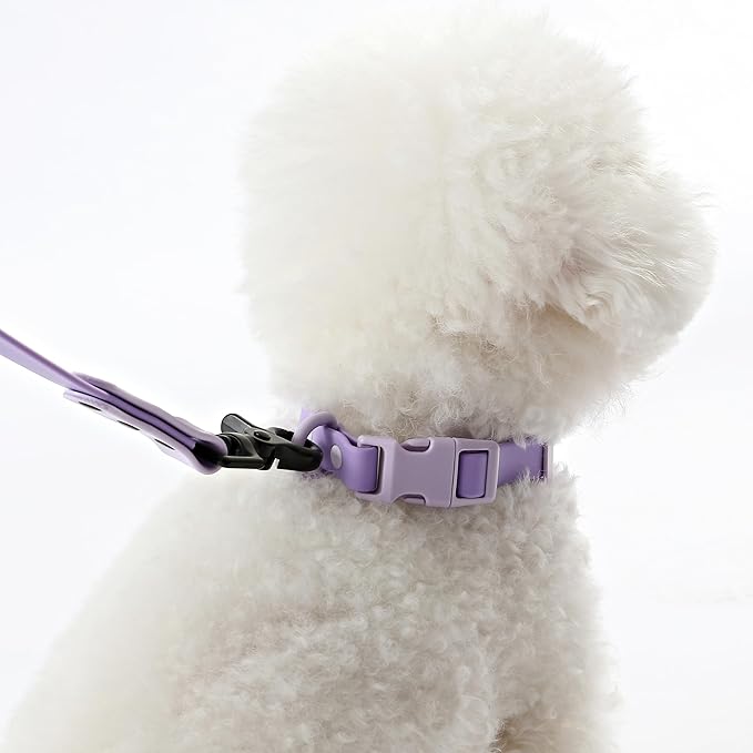 WLK1004H-5SET Luna Small 8FT Adjustable 6-in-1 Waterproof Hands-Free Leash and Collar with LED Flashlight, Bag Dispenser, and Poop Bag Holder, Bramble