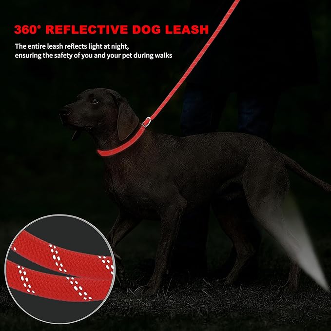 10FT Hands Free Dog Leash for Small Medium Large Dogs, Heavy Duty Reflective Dog Leash with Traffic Handle, Seat Belt Buckle & Poop Bag Holder (Red)
