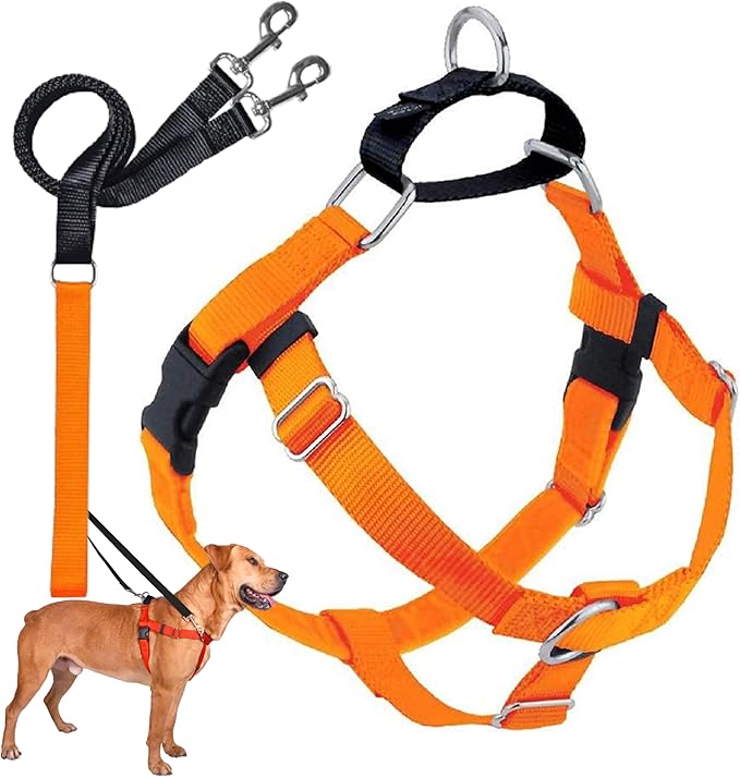 2 Hounds Design Freedom No Pull Dog Harness, Adjustable Harness and Leash Set, Easy Walking & Comfortable Control, Fits Small, Medium & Large Dogs, Solid Colors, Made in USA, 5/8" SM, Neon Orange