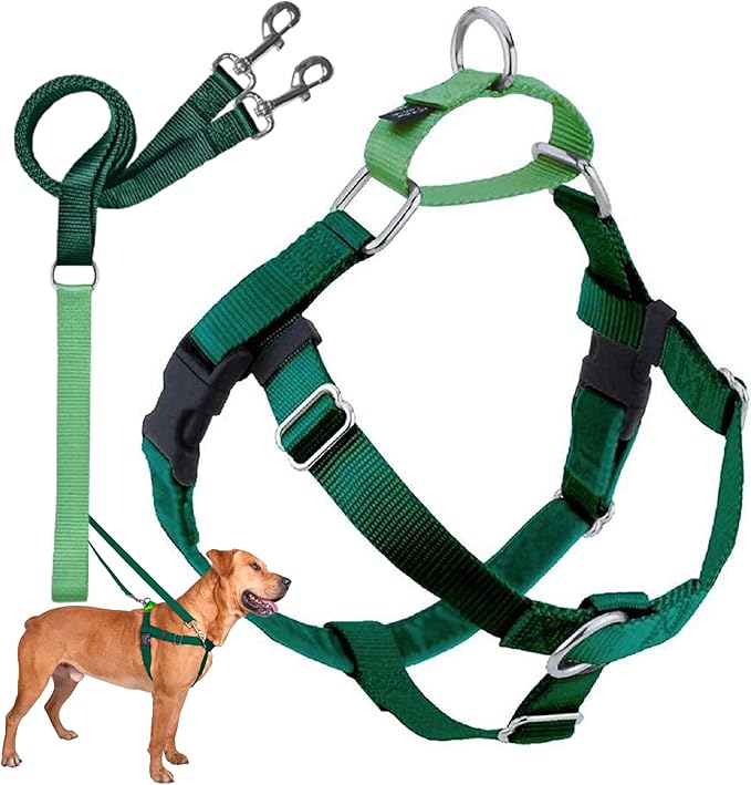 2 Hounds Design Freedom No Pull Dog Harness, Adjustable Harness and Leash Set, Easy Walking & Comfortable Control, Fits Small, Medium & Large Dogs, Solid Colors, Made in USA, 1" XXL, Kelly Green