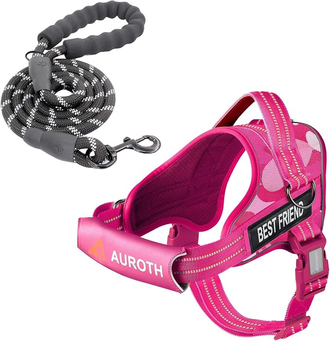 AUROTH Dog Harness and Leash Set, Soft Padded Service Dog Vest with 5.25FT Dog Leash, No Choke, Easy On Pet Vest, Adjustable Reflective No Pull Dog Harness for Large Dogs, Easy Walking and Training