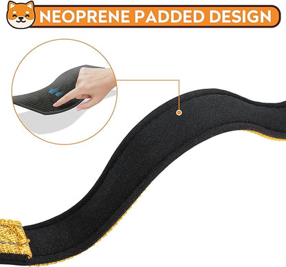 Reflective Dog Collar, Adjustable Soft Neoprene Padded Nylon Pet Collars with Buckle for Puppy and Small Dogs, Cats, Yellow,XS