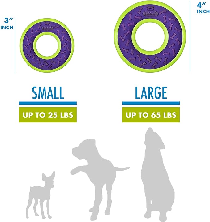 Hero Outer Armor, Fetch Ring Dog Toy, Floats & Squeaks, Purple