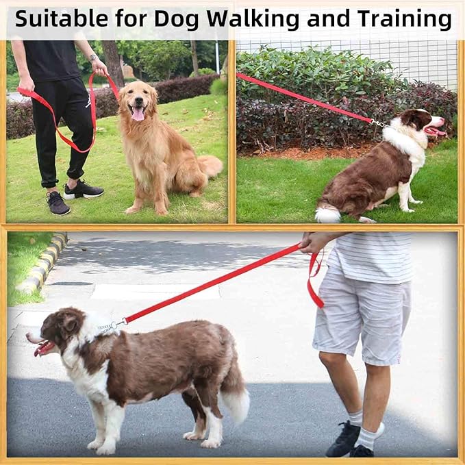 AMAGOOD 6 FT Puppy/ Dog Leash, Strong and Durable Traditional Style Leash with Easy to Use Collar Hook, Great for Small, Medium and Large Dogs (1" x 6 ft, Black and Red (2-Pack))