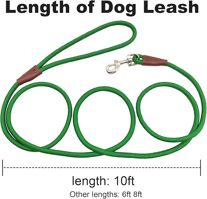 Small Dog Leash, 1/4" by 6/8/10 FT Lightweight Strong Nylon Rope Leash, Bright Classic Lead for Small Pets/Puppy/Cat (10ft, Dark Green)