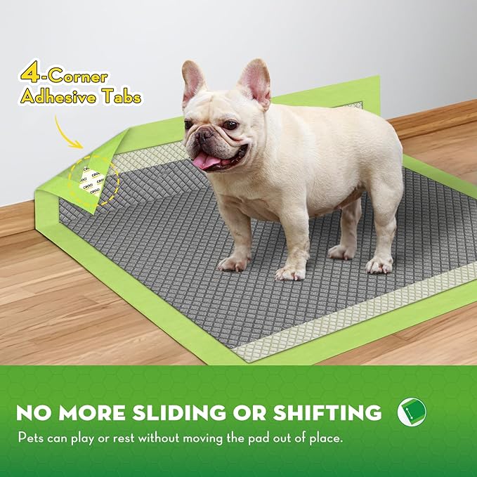 CROCI Pee Pads for Dogs, 22"x22" Small Puppy Pads 100 Counts, 2X Odor-Control with Charcoal & Bamboo Material, 4-Corner Adhesive Tabs, Super Absorbent & Leak-Proof