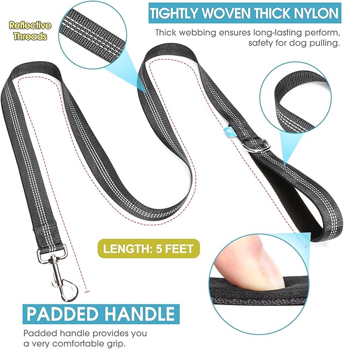 BAAPET 5 Feet Nylon Dog Leash with Triple Reflective Threads and Comfortable Padded Handle for Walking, Training Lead Small Puppy, Medium and Large Dogs (1.0'' x 5 FT, Black)