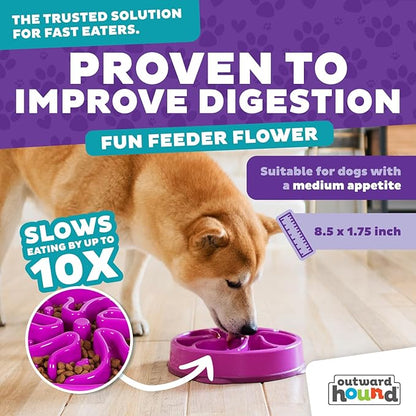 Outward Hound Fun Feeder Slo Bowl – Medium 2‑Cup Capacity,Slow Feeding,Small to Medium Dogs & Cats,Non-Slip,Purple,Flower Pattern,(Pack of 12)