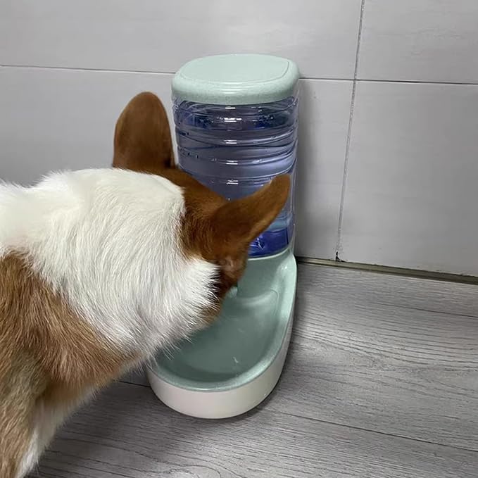 Bemodst Automatic Pet Water Dispenser - Automatic Cat & Dog Water Bowl, 3.8L Gravity Design, Suitable for Small & Medium-Sized Pets (Green)
