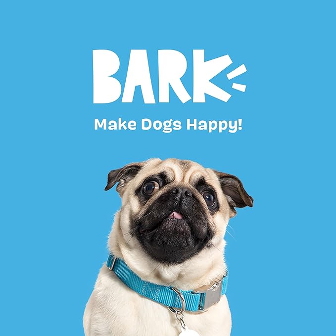 Barkbox BARK A Squeaky Meat -a-Ball Scented Rip & Reveal Dog Toy for Aggressive Chewers - Medium