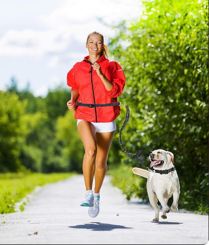 JESPET Hands Free Dog Leash for Running, Walking, Hiking Jogging for Medium & Large Dogs up to 150lbs, Durable Dual Handle Waist Leash with Reflective Bungee and Adjustable Waist (Red)