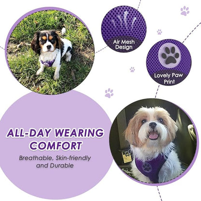 Lukovee Dog Seat Belt for Car, Adjustable Dog Car Harness for Large Medium Small Dogs, Soft Padded & Breathable Mesh Dog Seatbelt with Car Strap and Carabiner (Purple,L)
