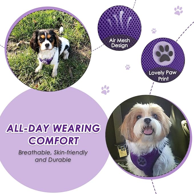 Lukovee Dog Seat Belt for Car, Adjustable Dog Car Harness for Large Medium Small Dogs, Soft Padded & Breathable Mesh Dog Seatbelt with Car Strap and Carabiner (Purple,XS)