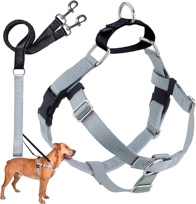 2 Hounds Design Freedom No Pull Dog Harness, Adjustable Harness and Leash Set, Easy Walking & Comfortable Control, Fits Small, Medium & Large Dogs, Solid Colors, Made in USA, 5/8" MD, Silver