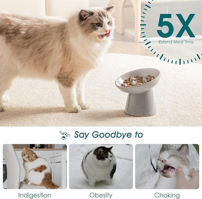 vancasso Ceramic Slow Feeder Cat Bowl, 6.25 Inch Elevated Cat Slow Feeder Bowl, Anti Vomiting for Dry and Wet Food, Grey