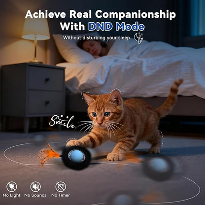 Interactive Cat Toy with Motion Activated Ball & 7-Hole Play Mat, Hide and Seek Exercise Game for Indoor Cats, Automatic Moving Cat Ball in Pouch, Rechargeable Kitten Toys