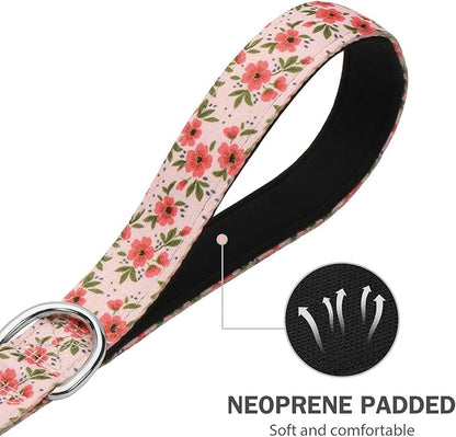 Hikiko Double Handle Dog Leash 6 Foot Cute Girl Padded Traffic Handles for Walking Training (Cream Natural Floral, 6ft)